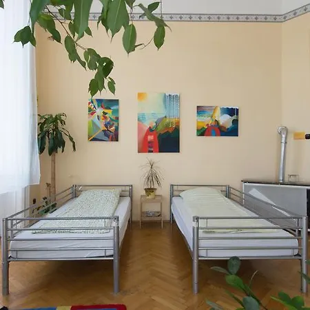 Activity Hostel