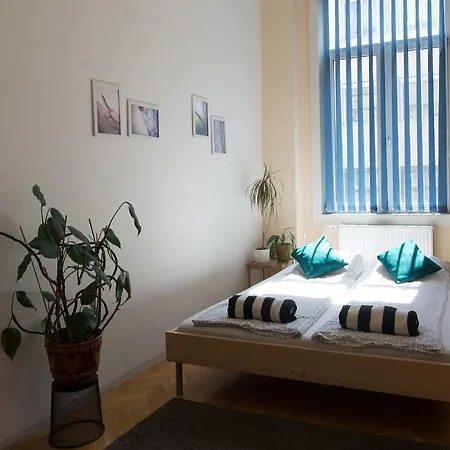 Activity Hostel
