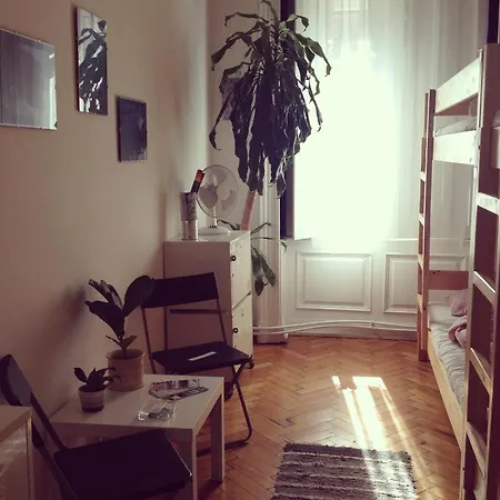 Activity Hostel Budapest